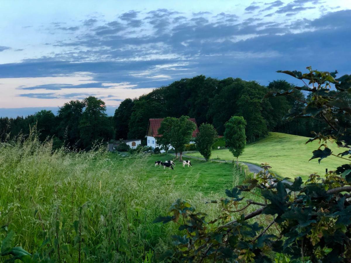 4-Zimmer Apartment Auf Resthof Halver Exteriér fotografie